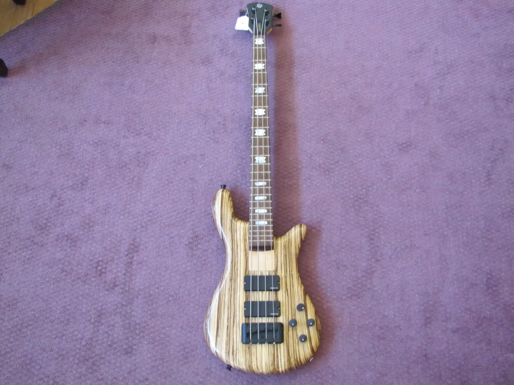 IMG_1123Rebop1.jpg