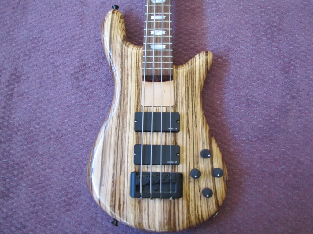 IMG_1124Rebop2.jpg