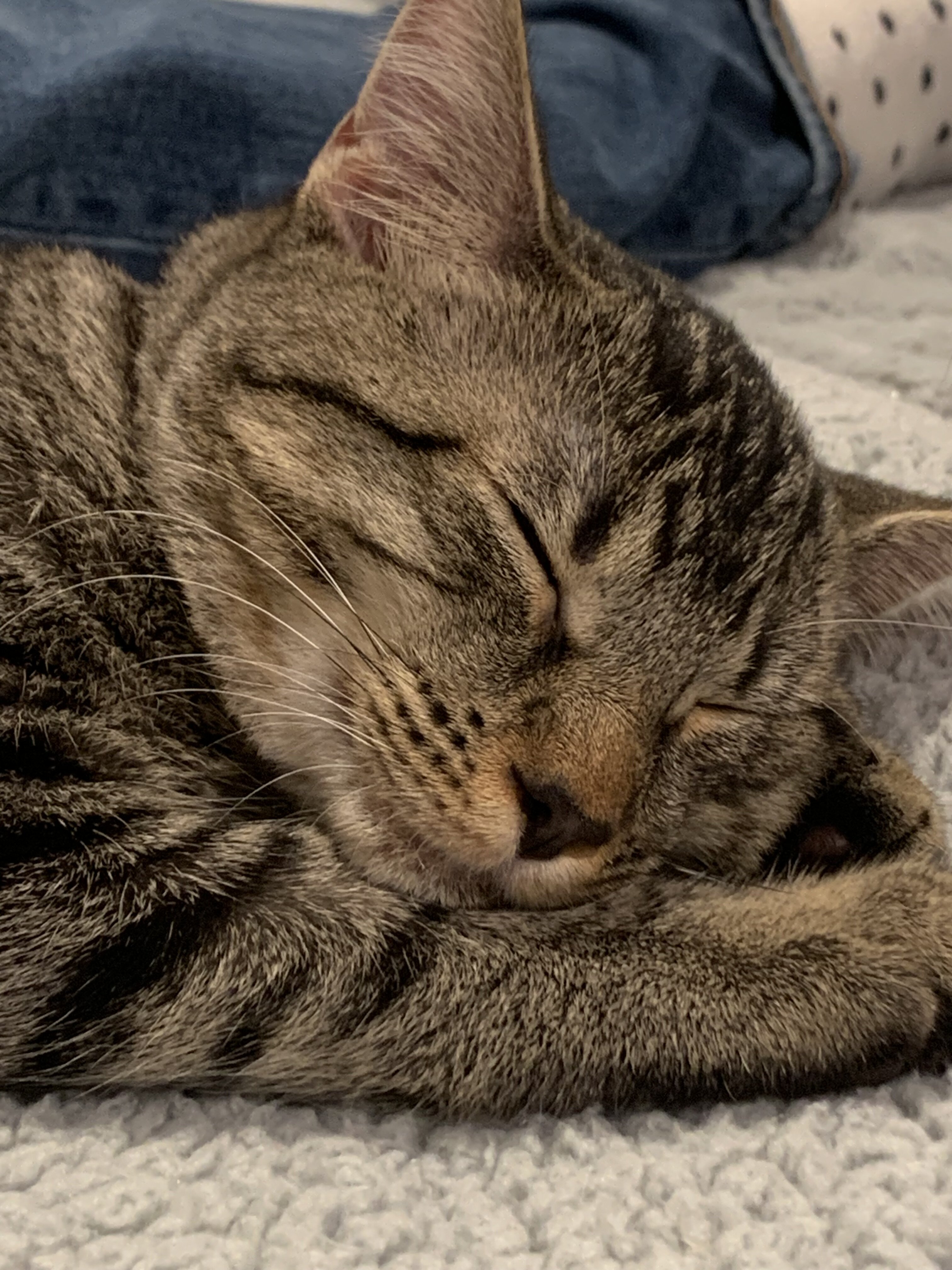 IMG_1131.jpeg