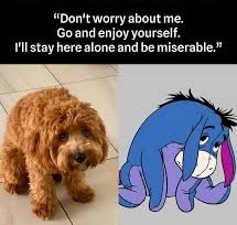 IMG_1132.jpeg