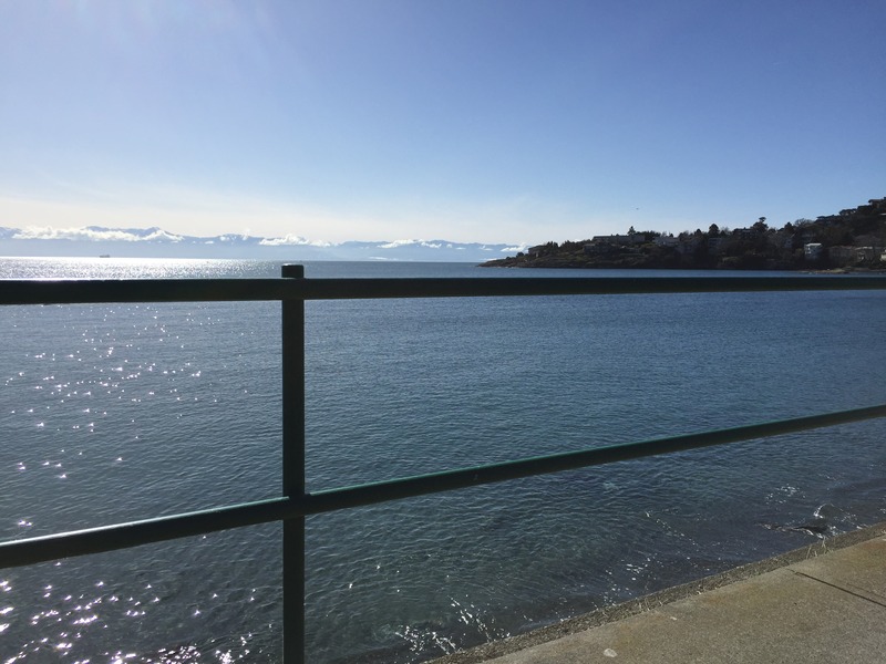 IMG_1160.jpg