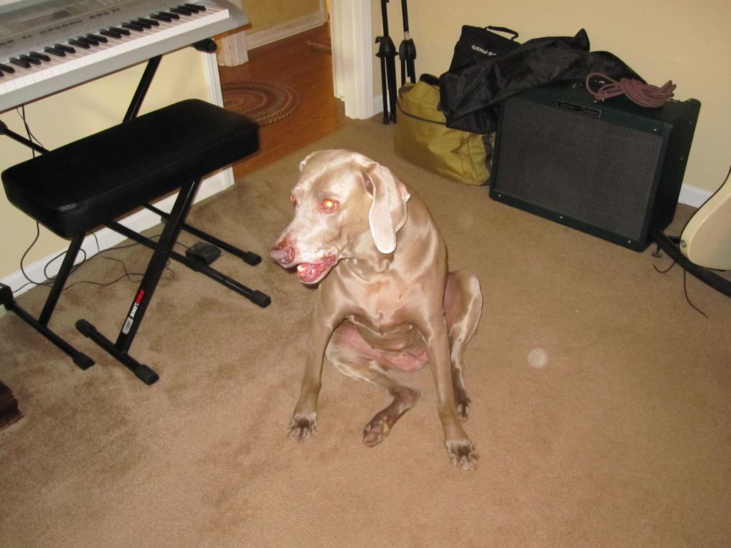 IMG_1164_zpse9dd5a80.jpg