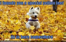 IMG_1166.jpeg