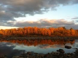 IMG_1184.jpeg
