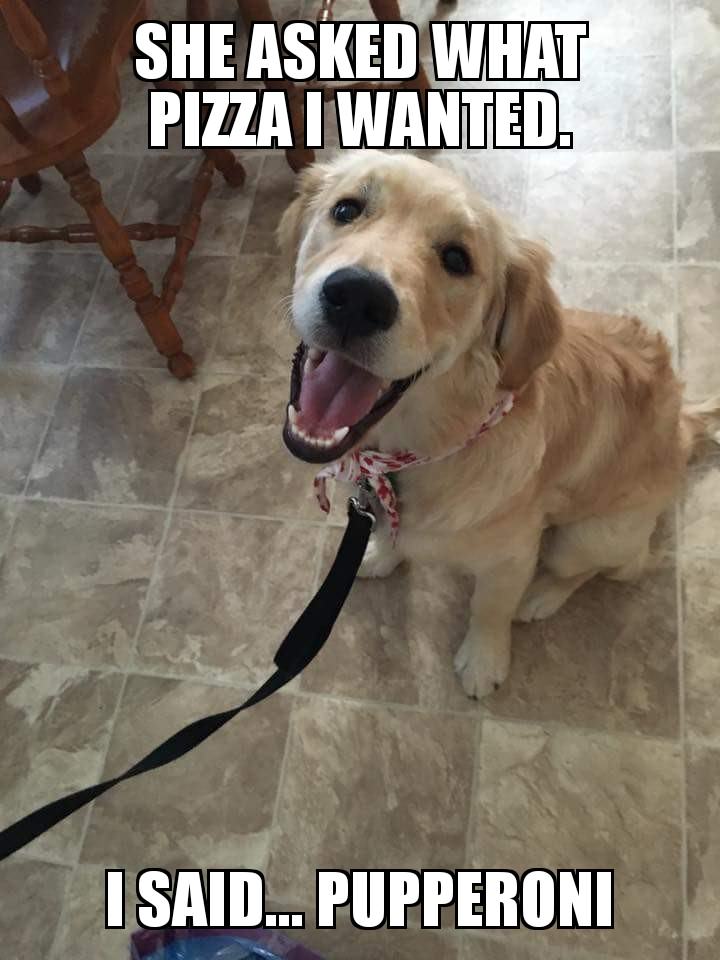 IMG_1206.jpeg
