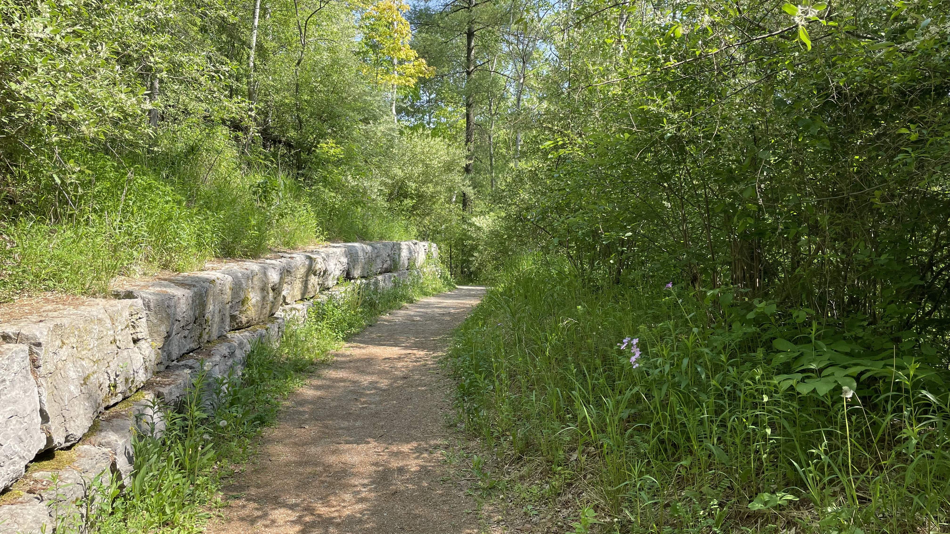 IMG_1207.jpg