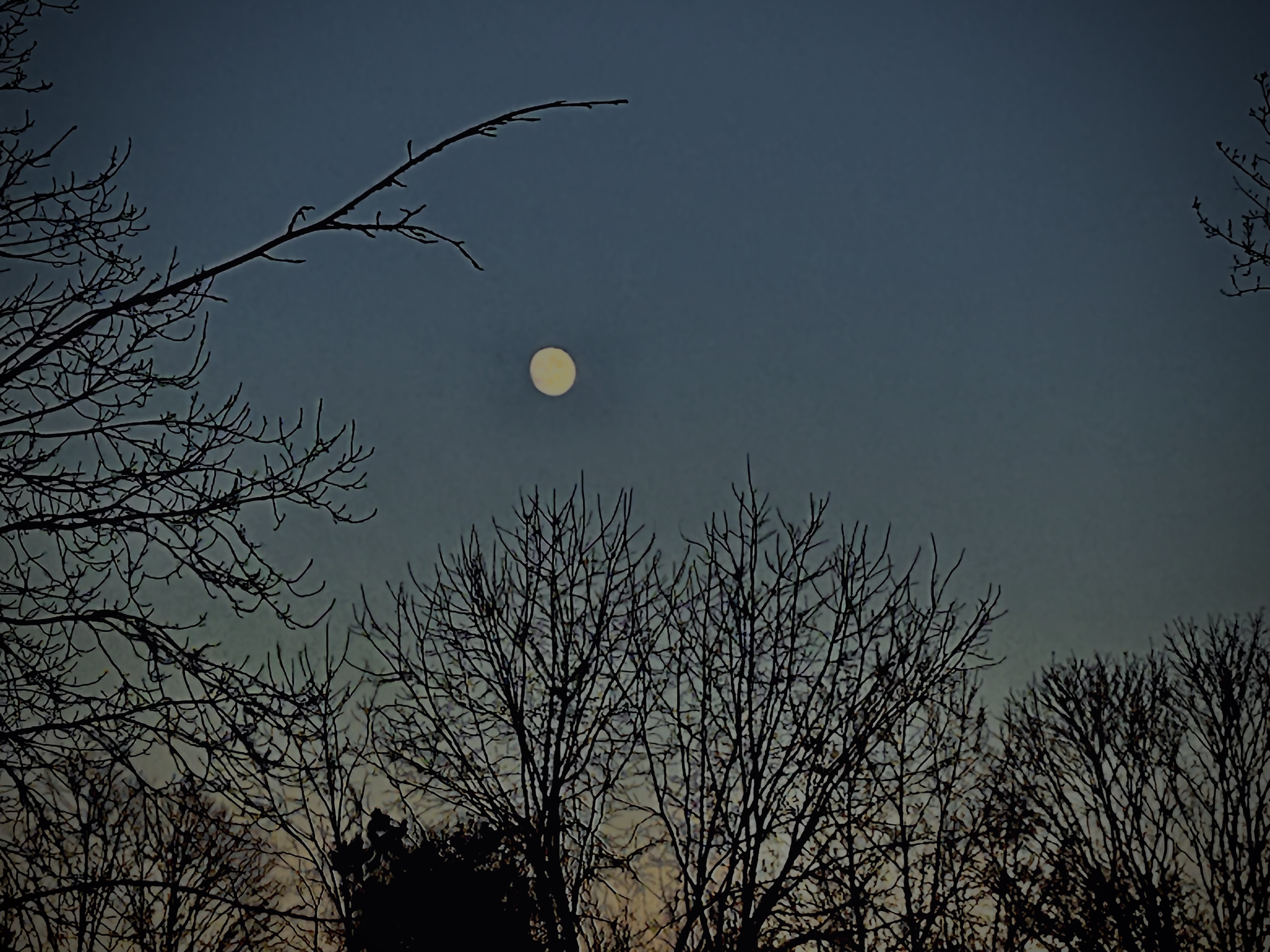 IMG_1272.jpeg