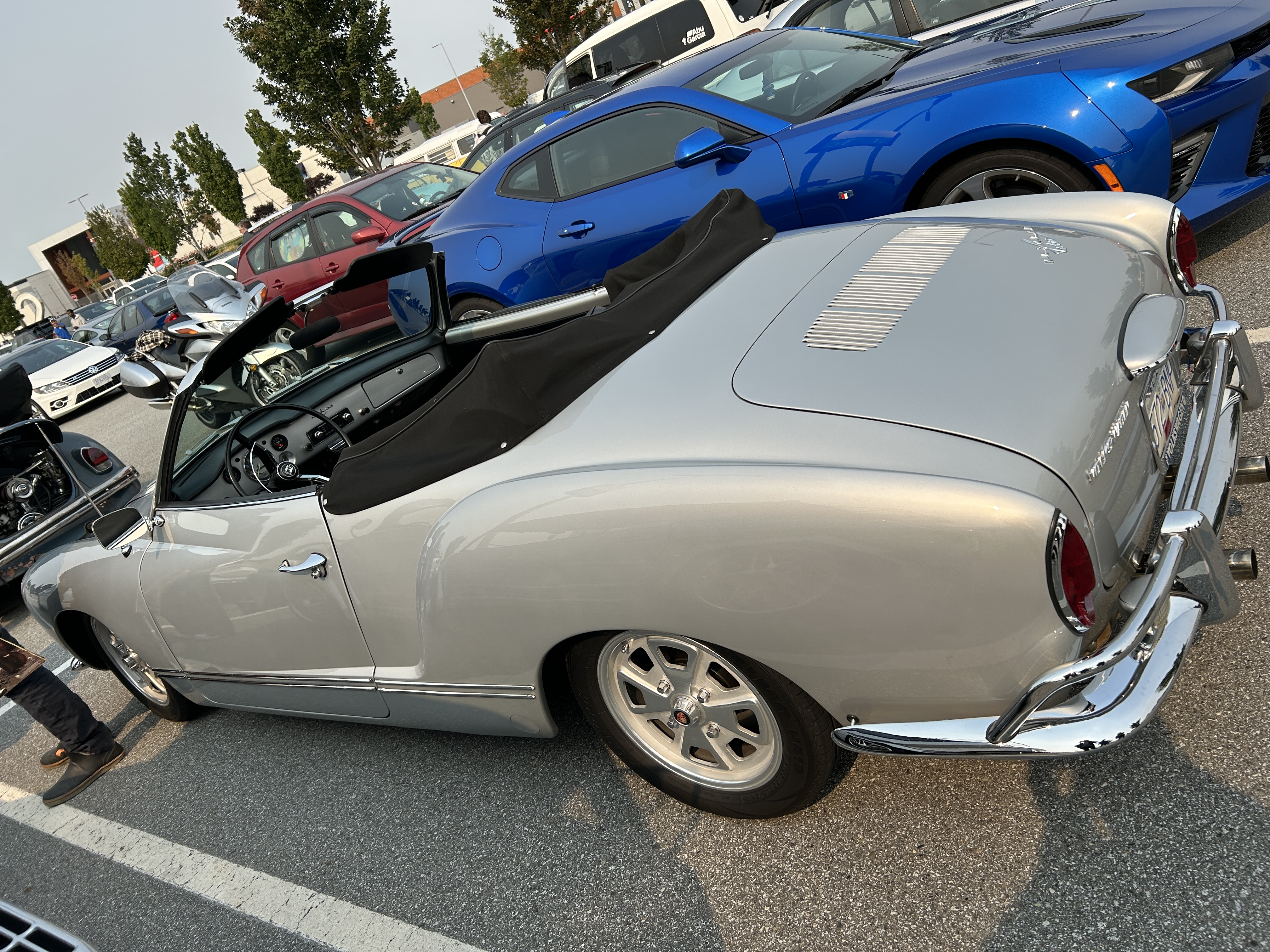IMG_1278.jpeg