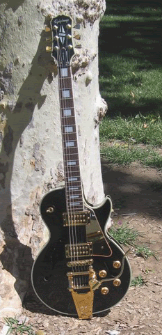 IMG_1294.gif
