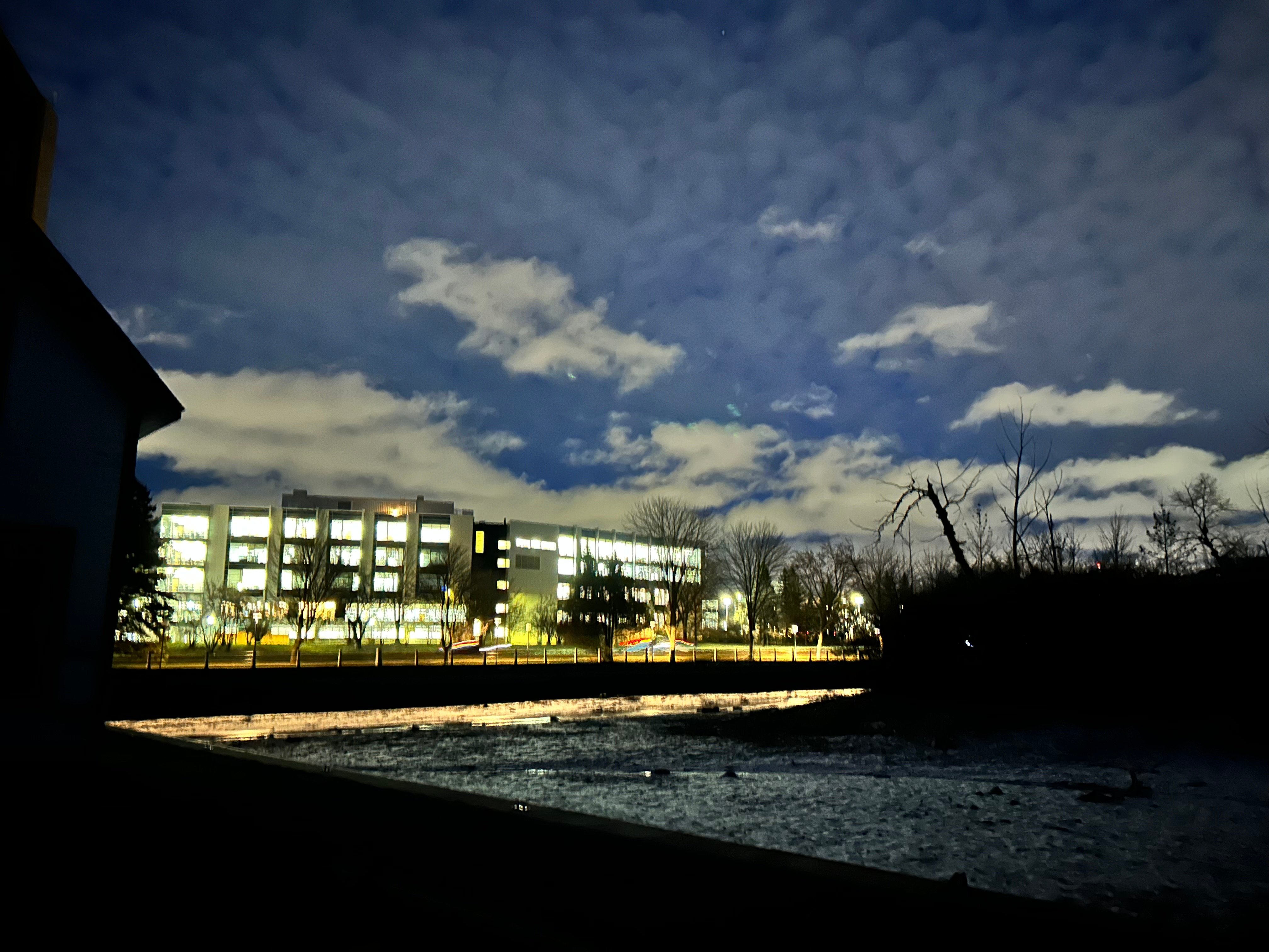 IMG_1294.jpeg