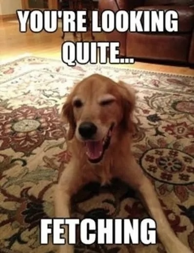 IMG_1366.jpeg