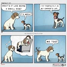 IMG_1371.jpeg