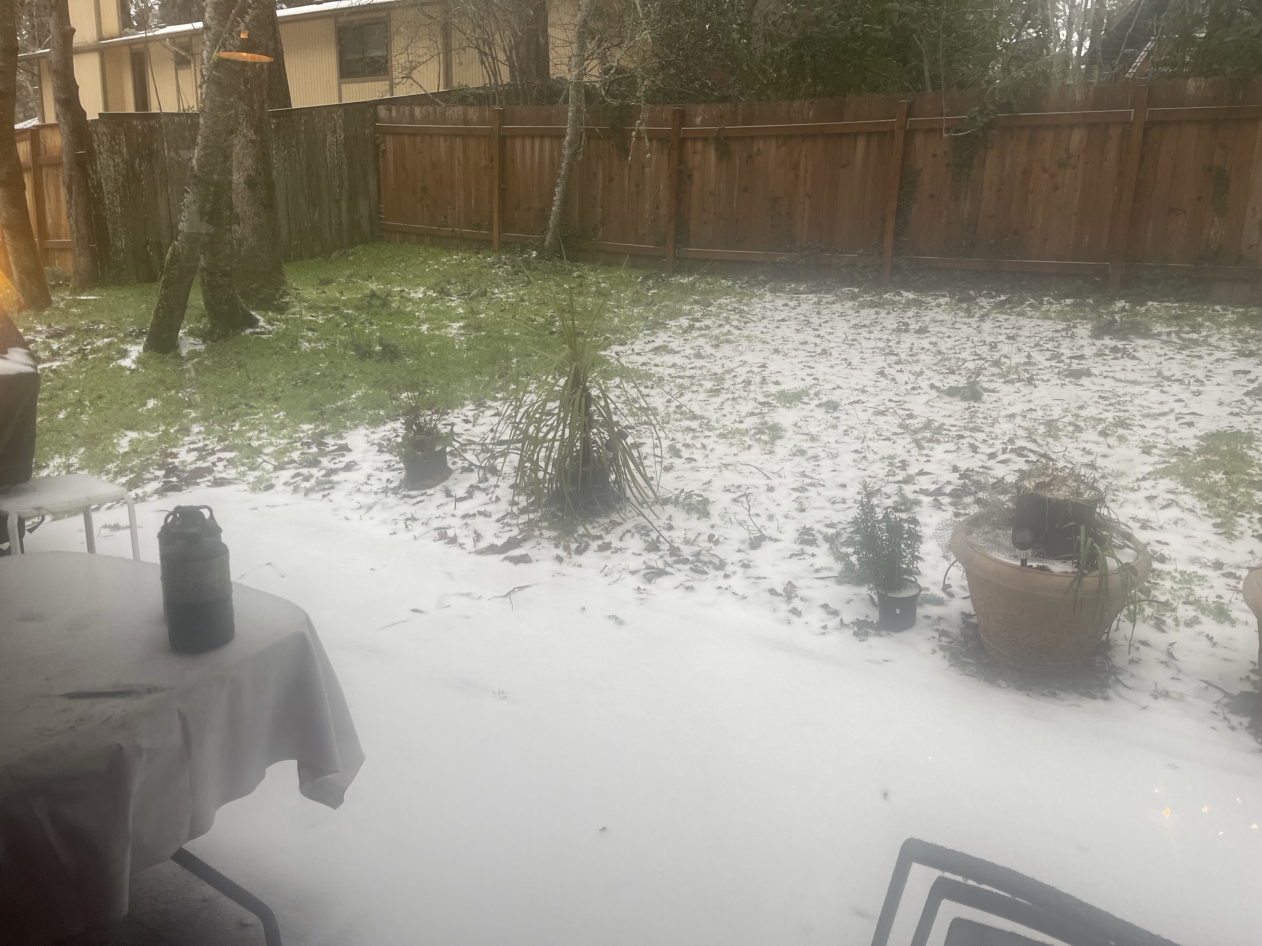 IMG_1383.jpeg