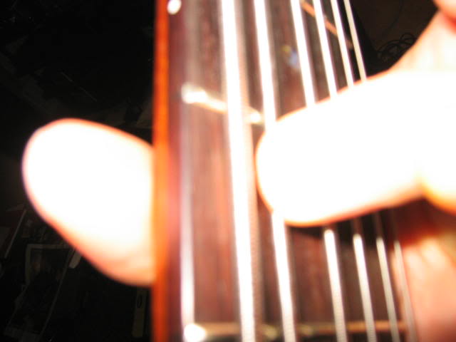 IMG_1433.jpg