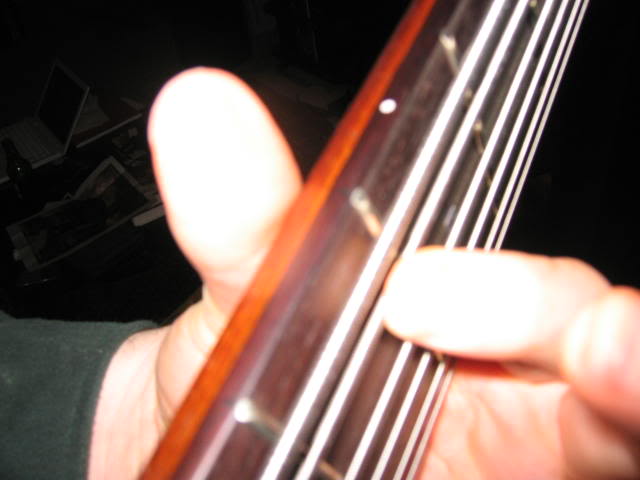 IMG_1437.jpg