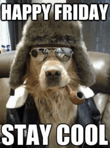 IMG_1544.gif