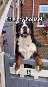 IMG_1561.jpeg