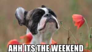 IMG_1565.jpeg