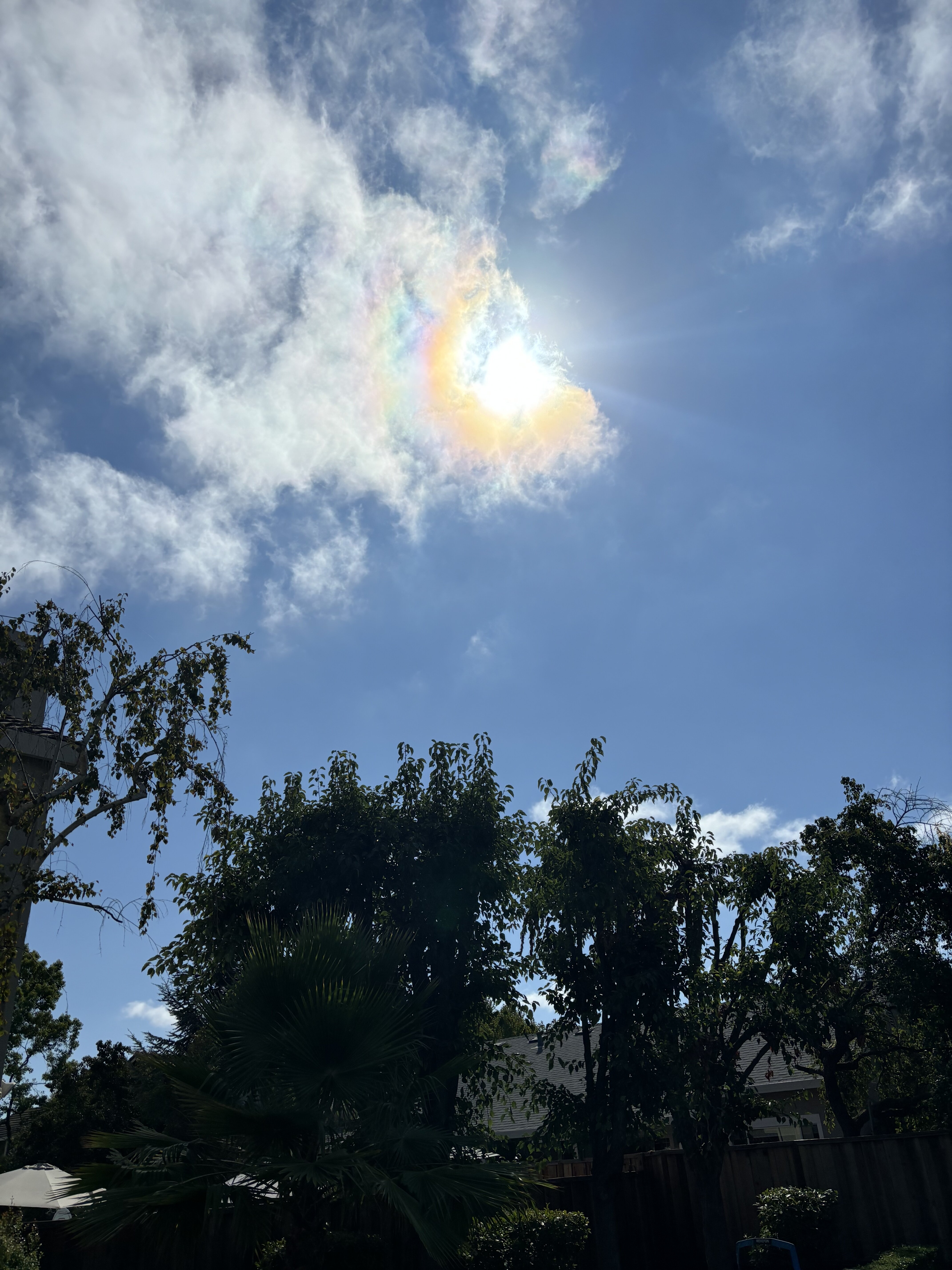 IMG_1584.jpeg