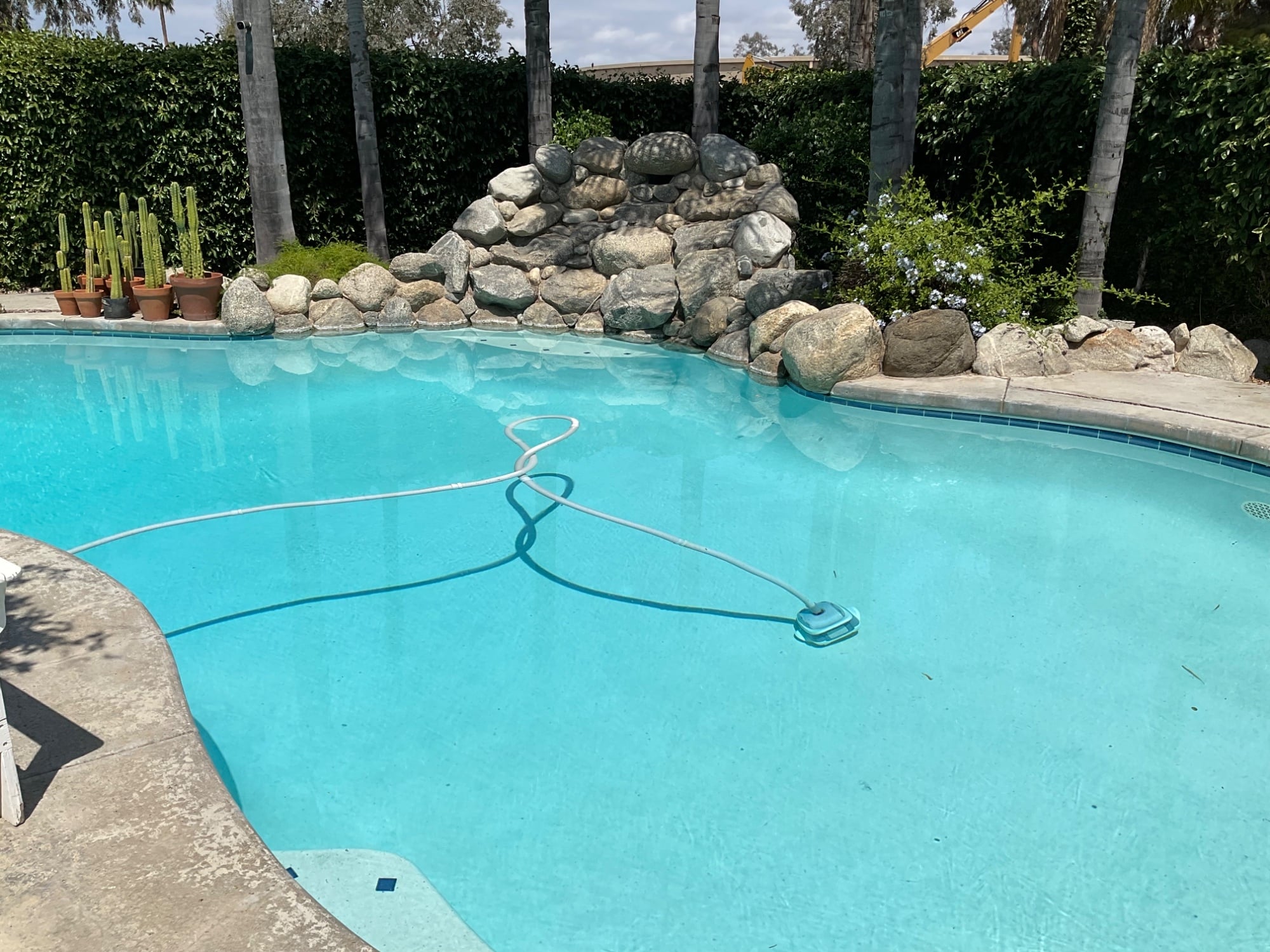 IMG_1625.jpeg