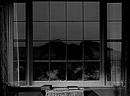 IMG_1642.gif