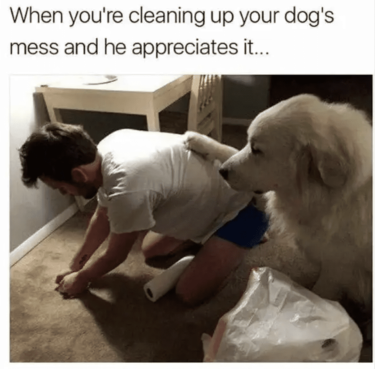 IMG_1693.png