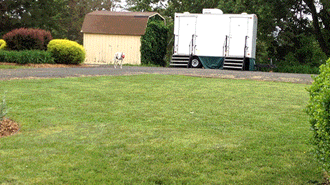 IMG_1880_2.gif
