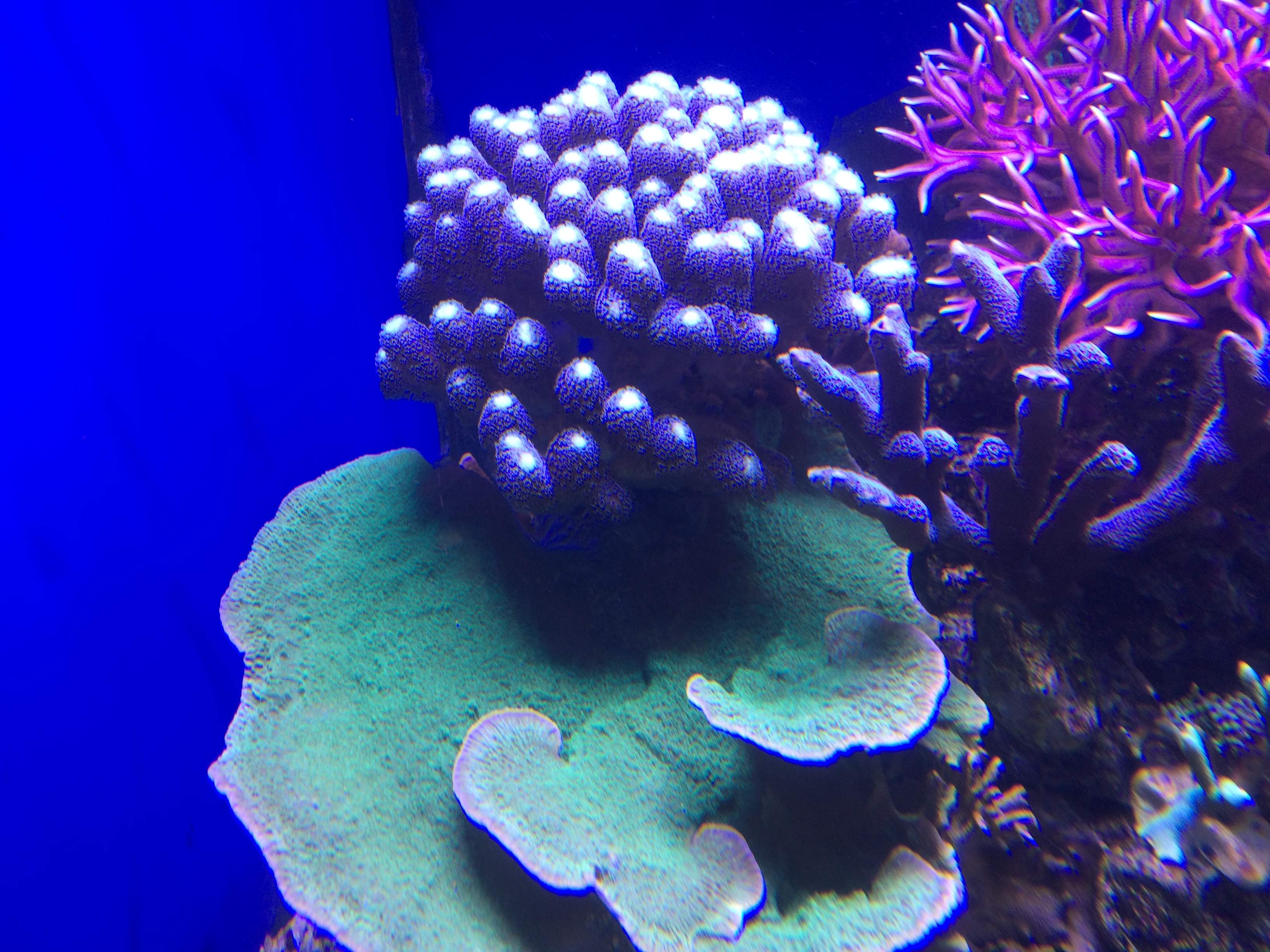 IMG_2017.JPG