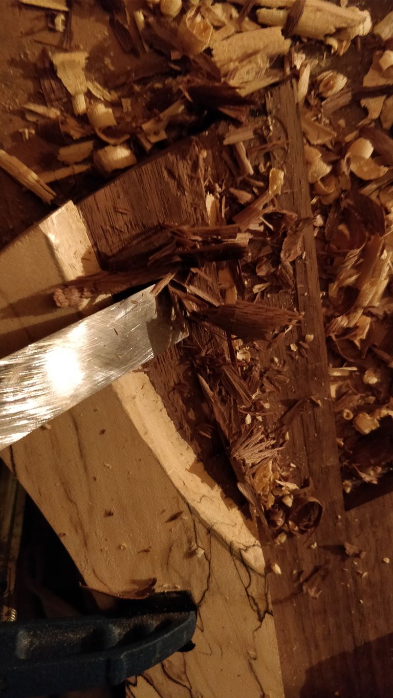 IMG_20180306_201500-01.jpeg