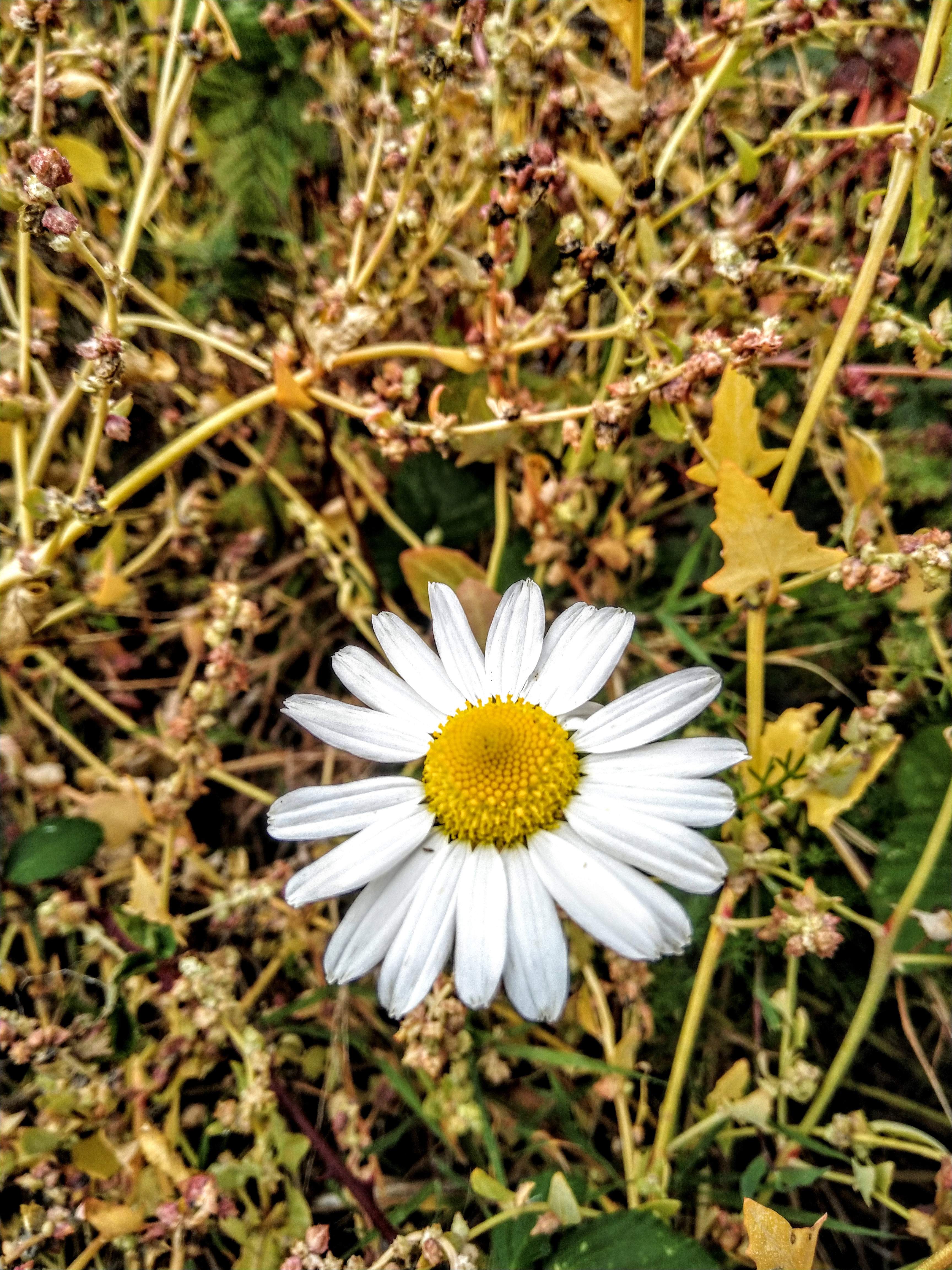IMG_20181004_120245~2.jpg