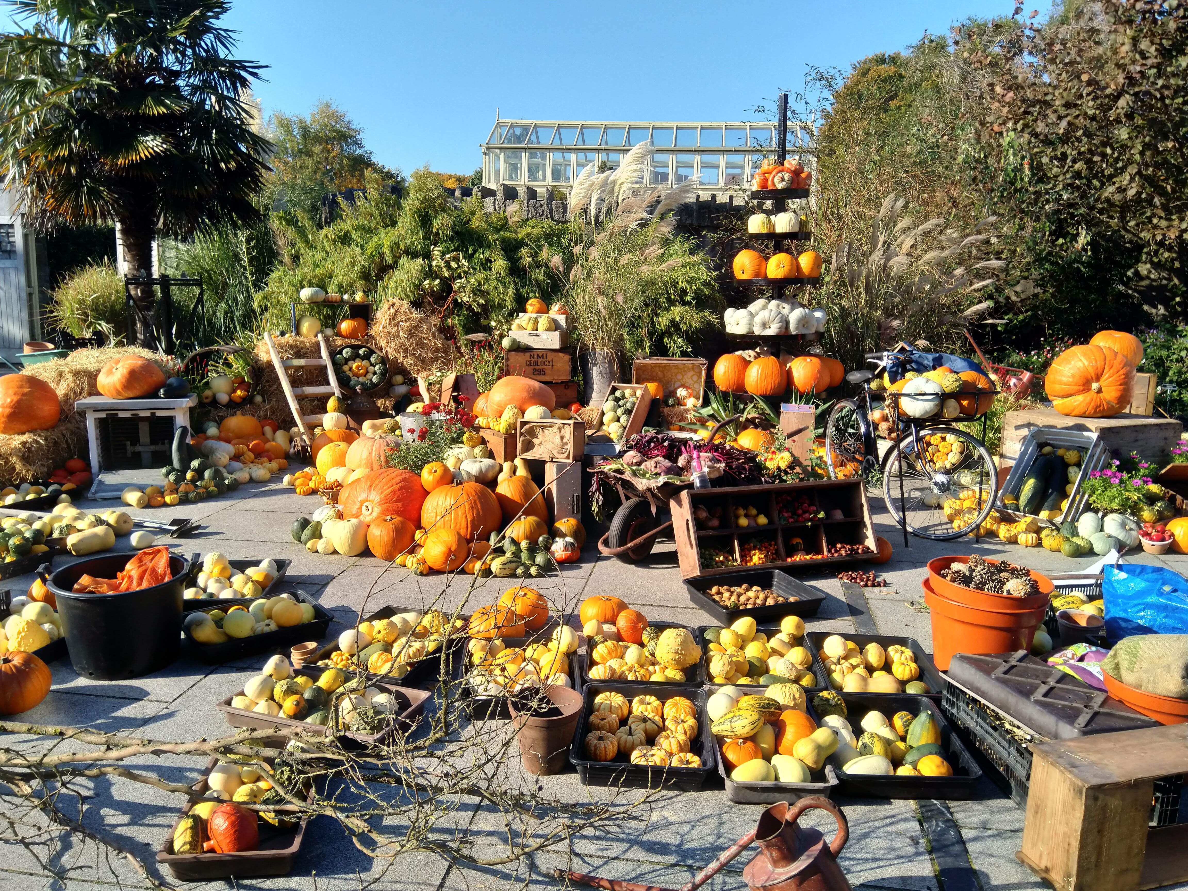 IMG_20181010_110626.jpg