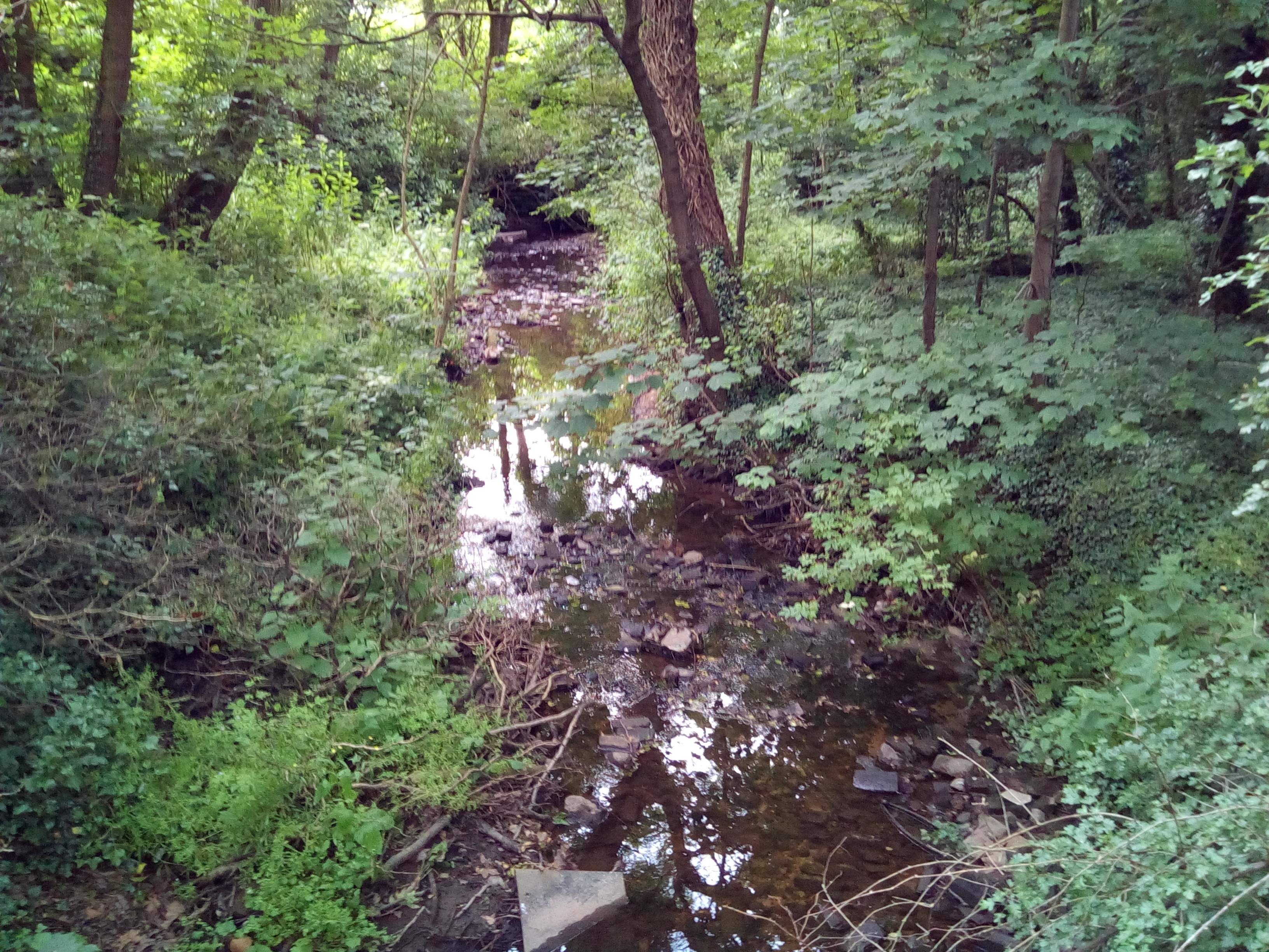 IMG_20190630_083844.jpg