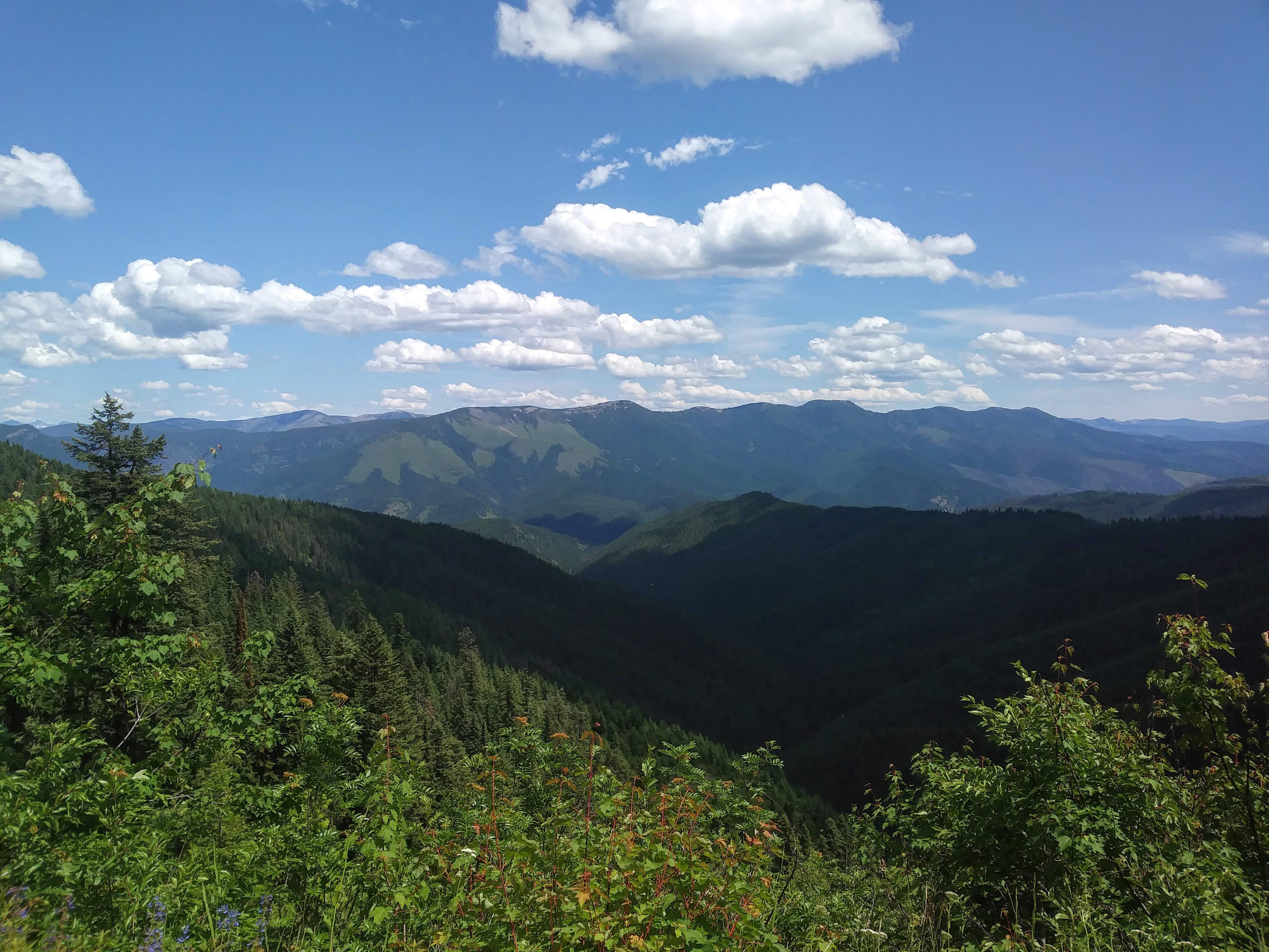 IMG_20190630_133903.jpg