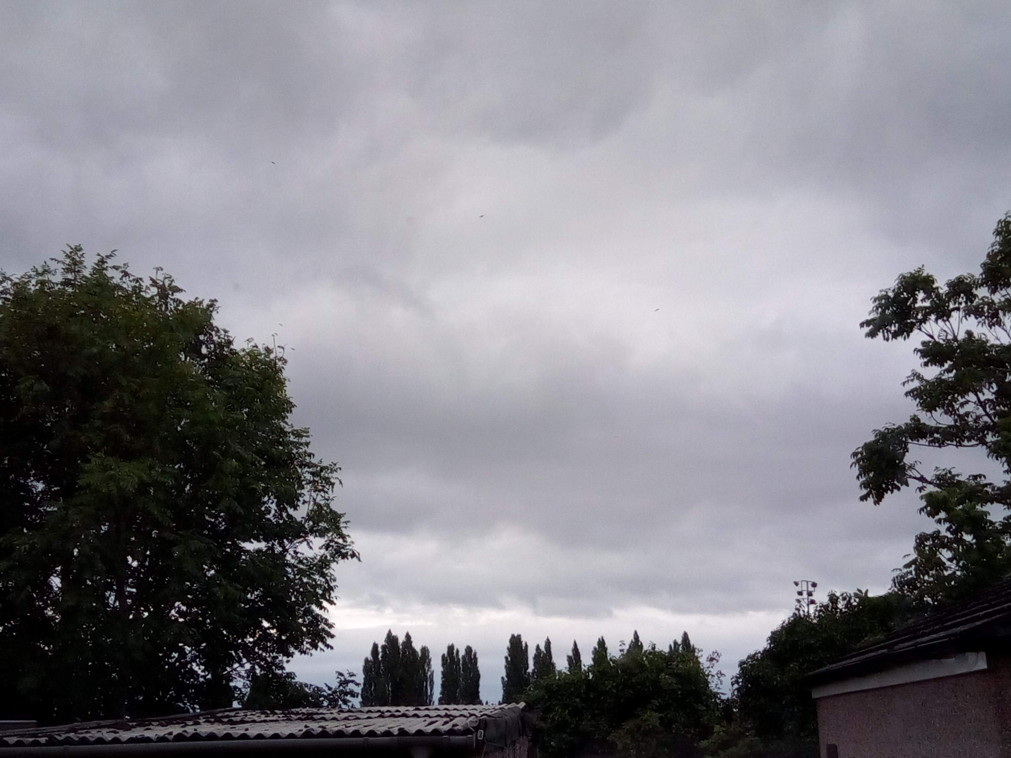 IMG_20190706_172418.jpg
