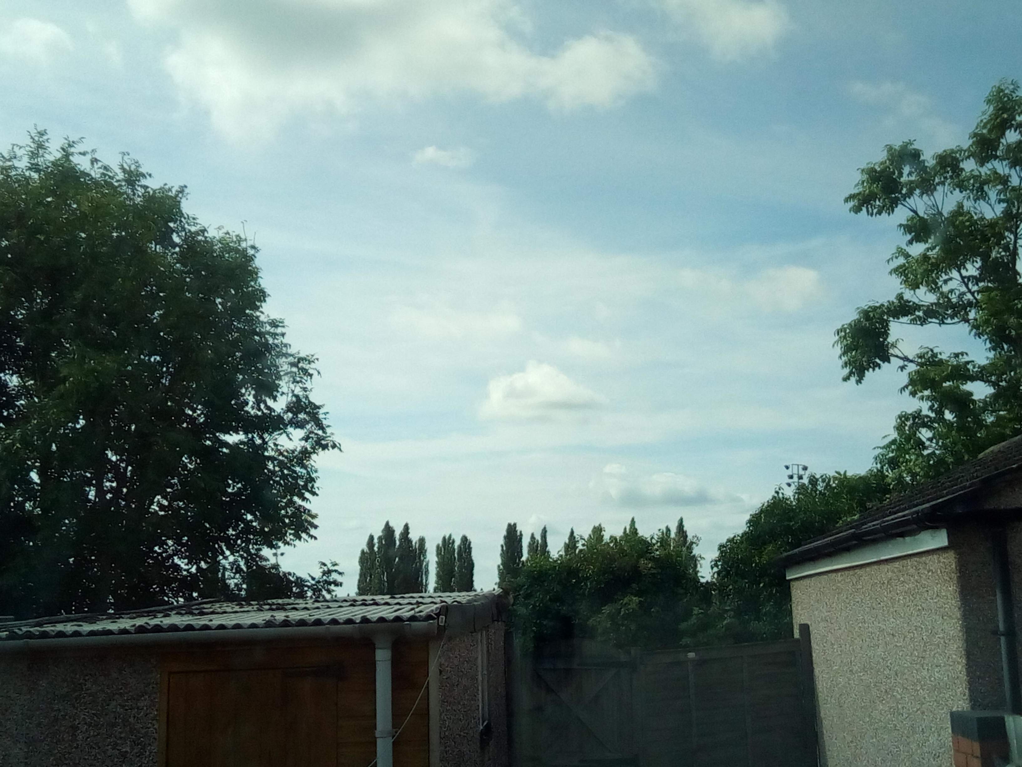 IMG_20190707_102334.jpg