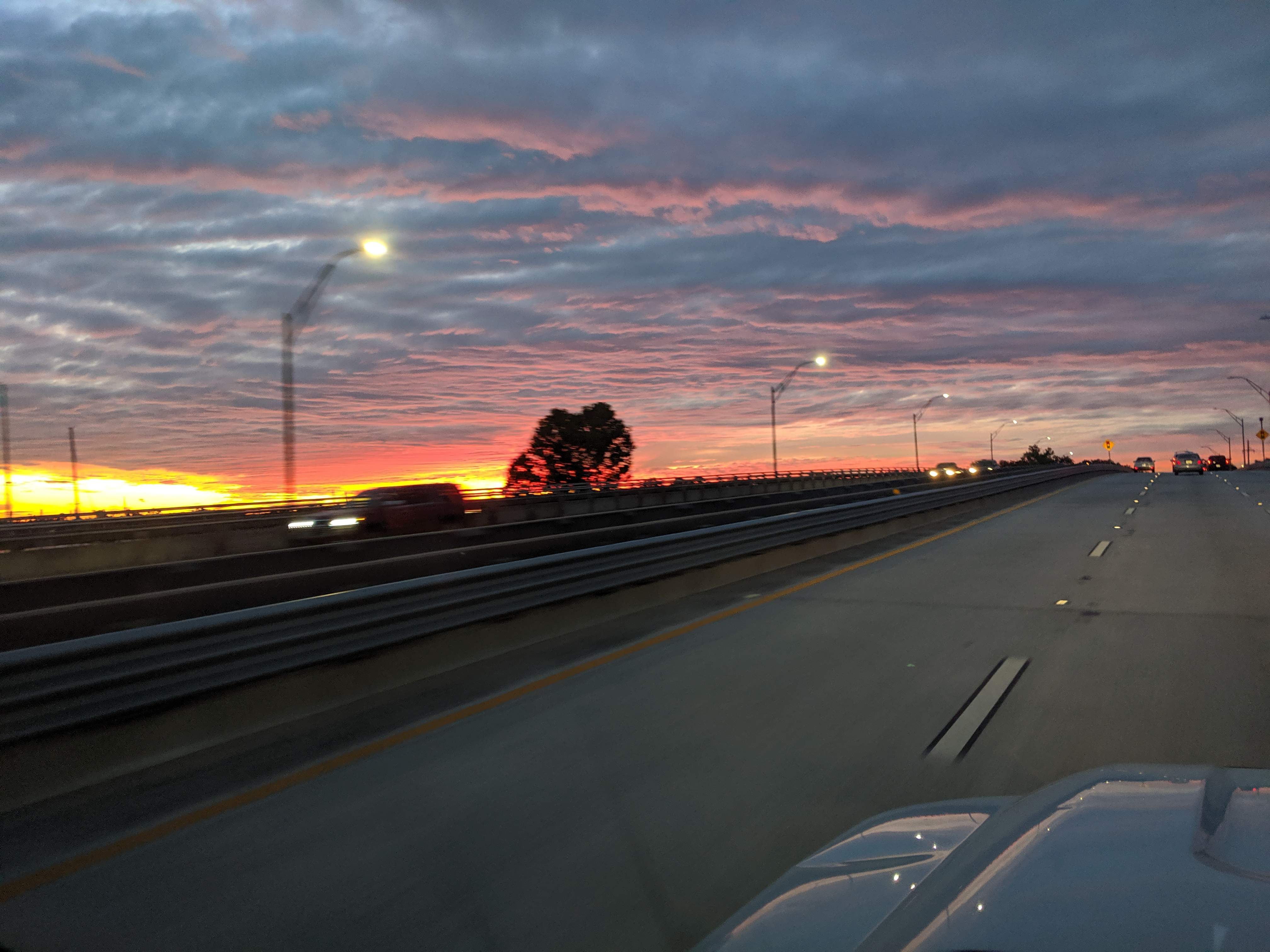 IMG_20191018_071848.jpg