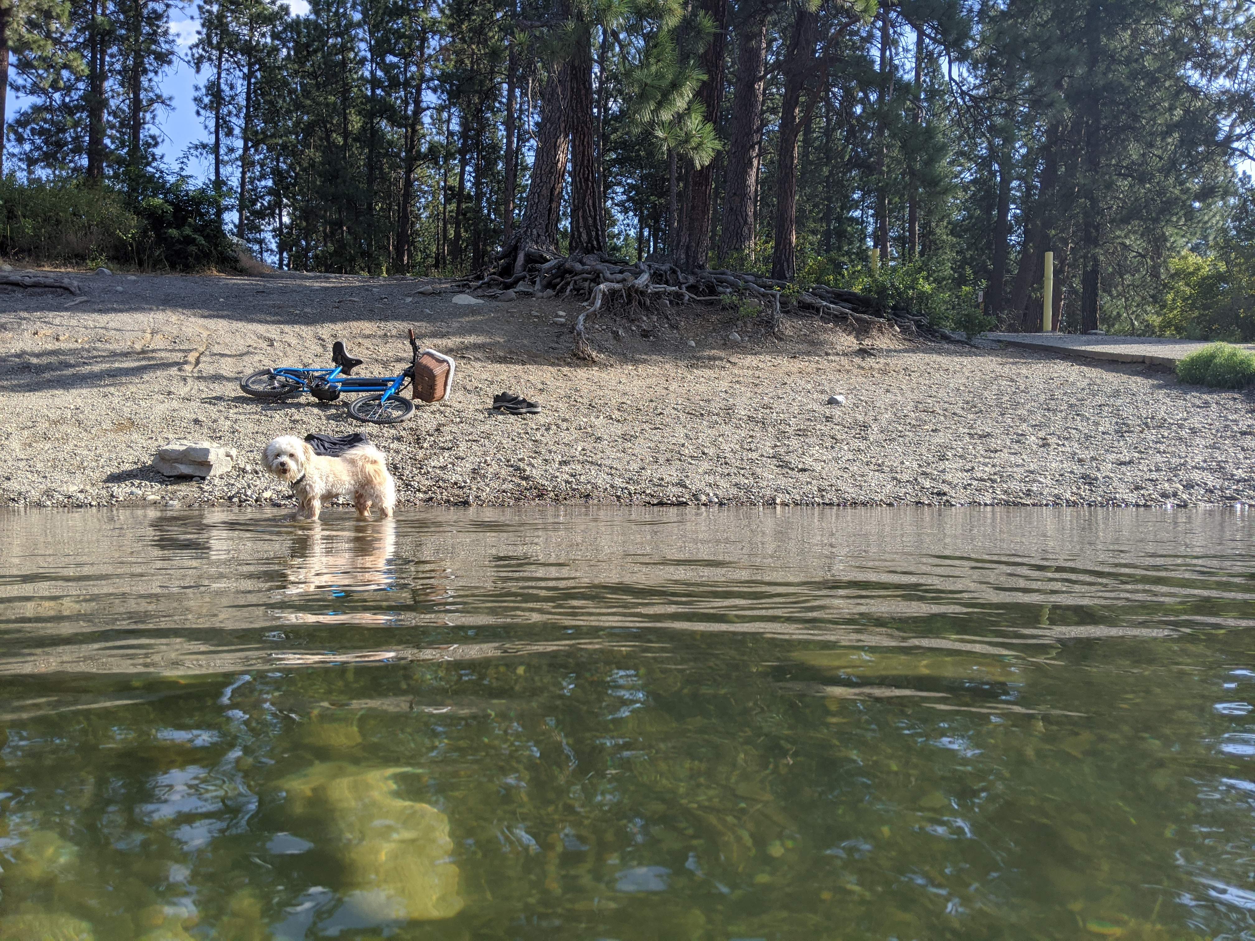 IMG_20200819_090044.jpg