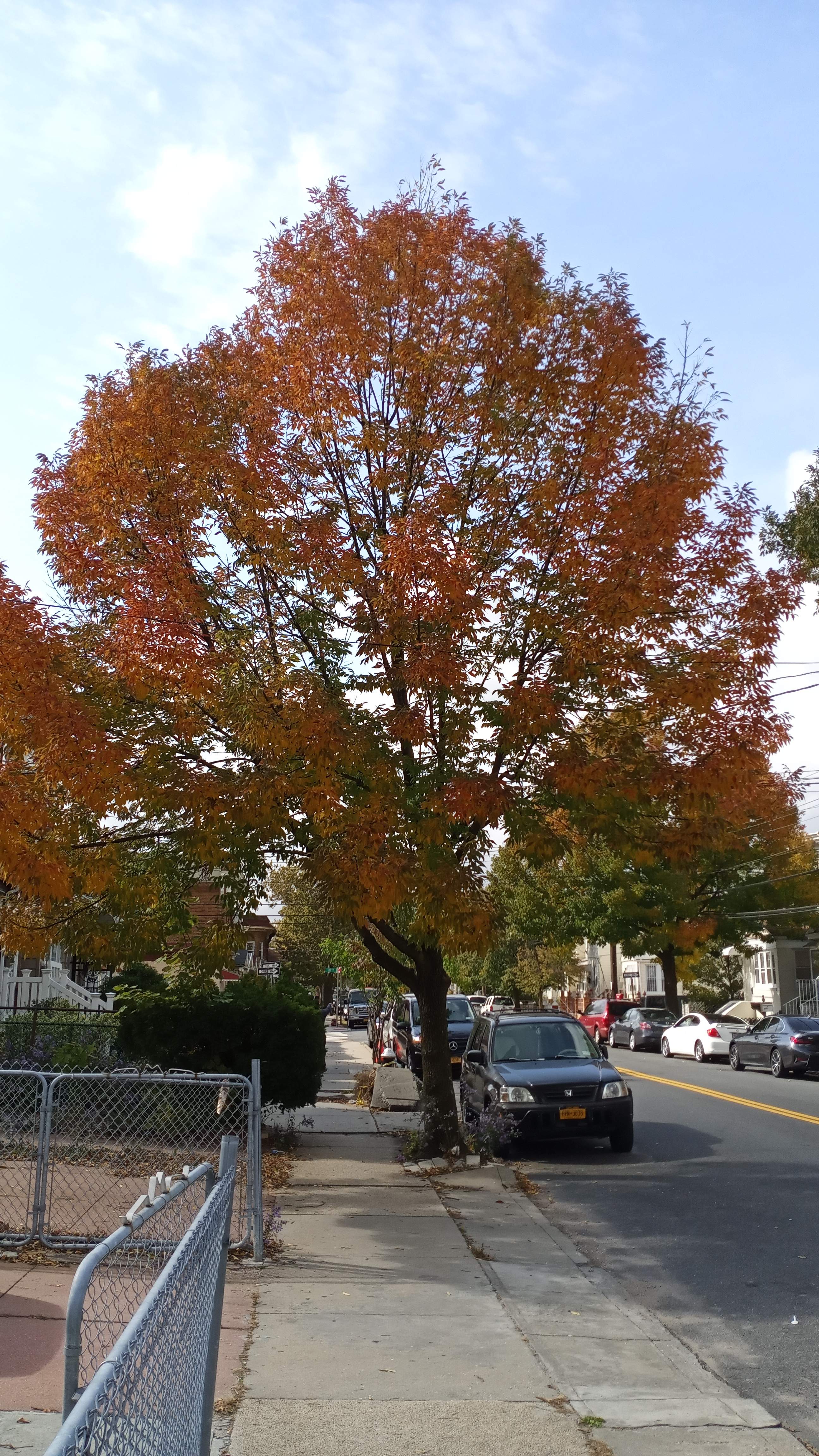 IMG_20201019_124100.jpg