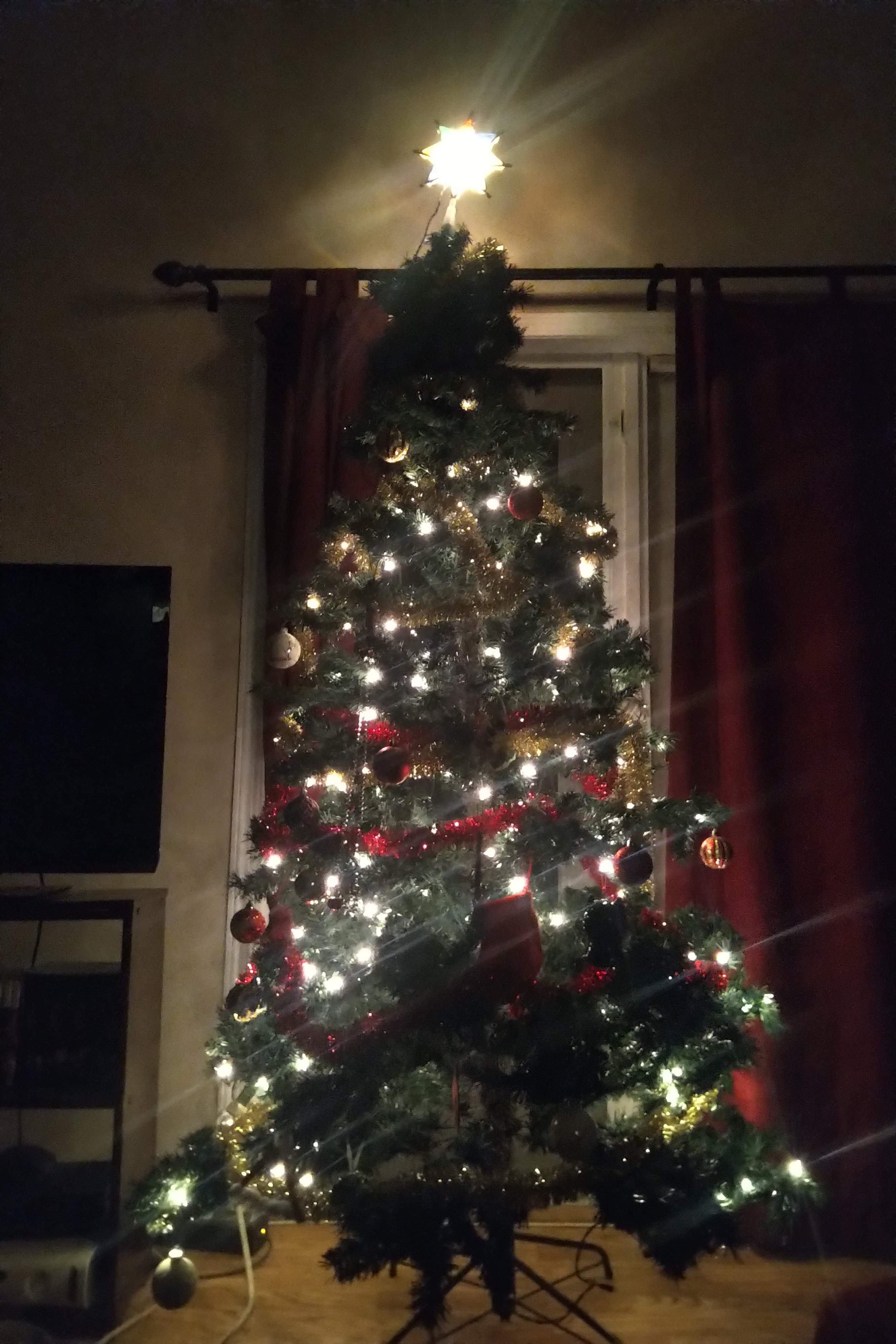 IMG_20201128_2036156.jpg