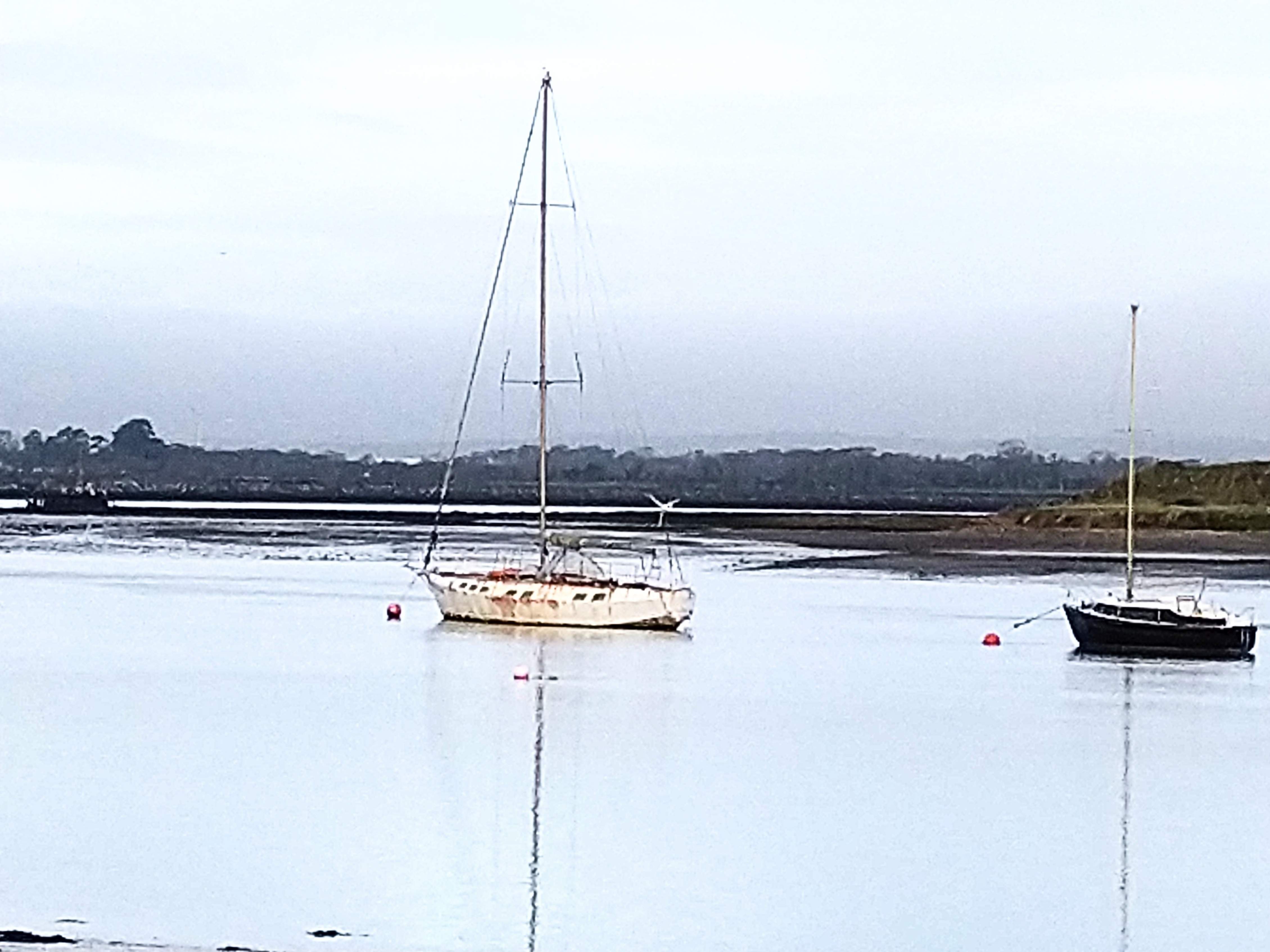 IMG_20201211_120312~2.jpg