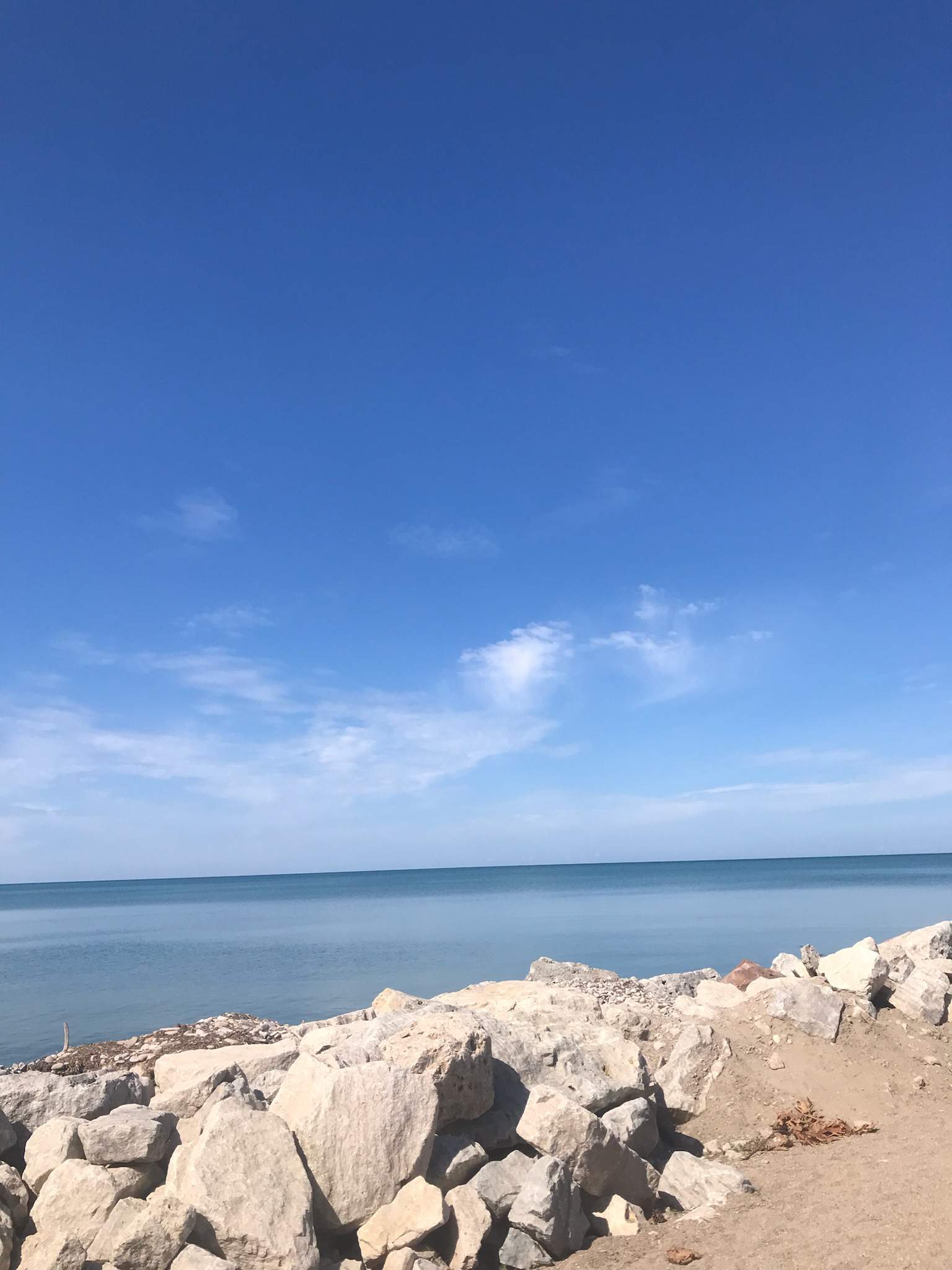 IMG_20210816_110208.jpg