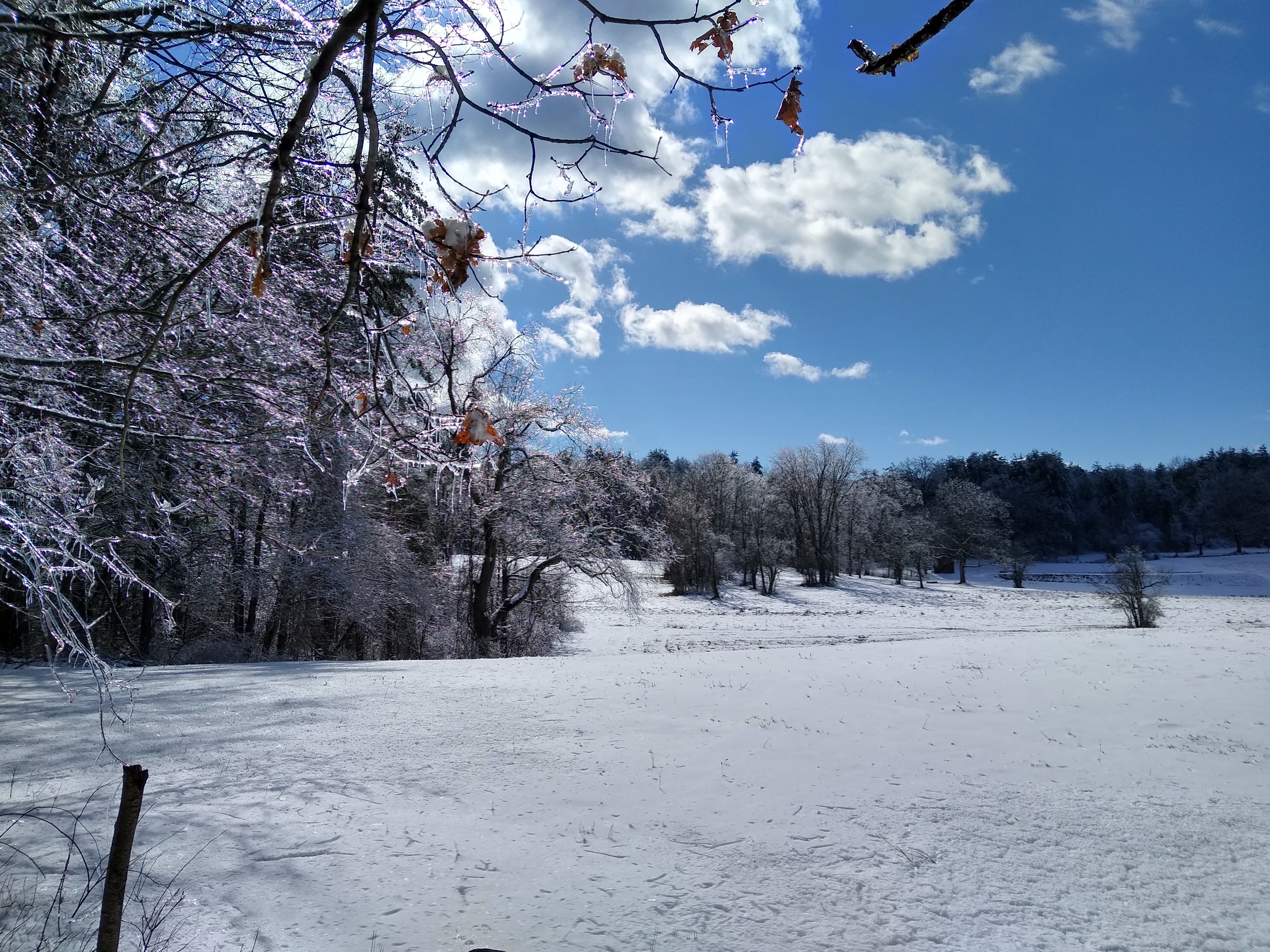IMG_20240324_155308341_HDR.jpg