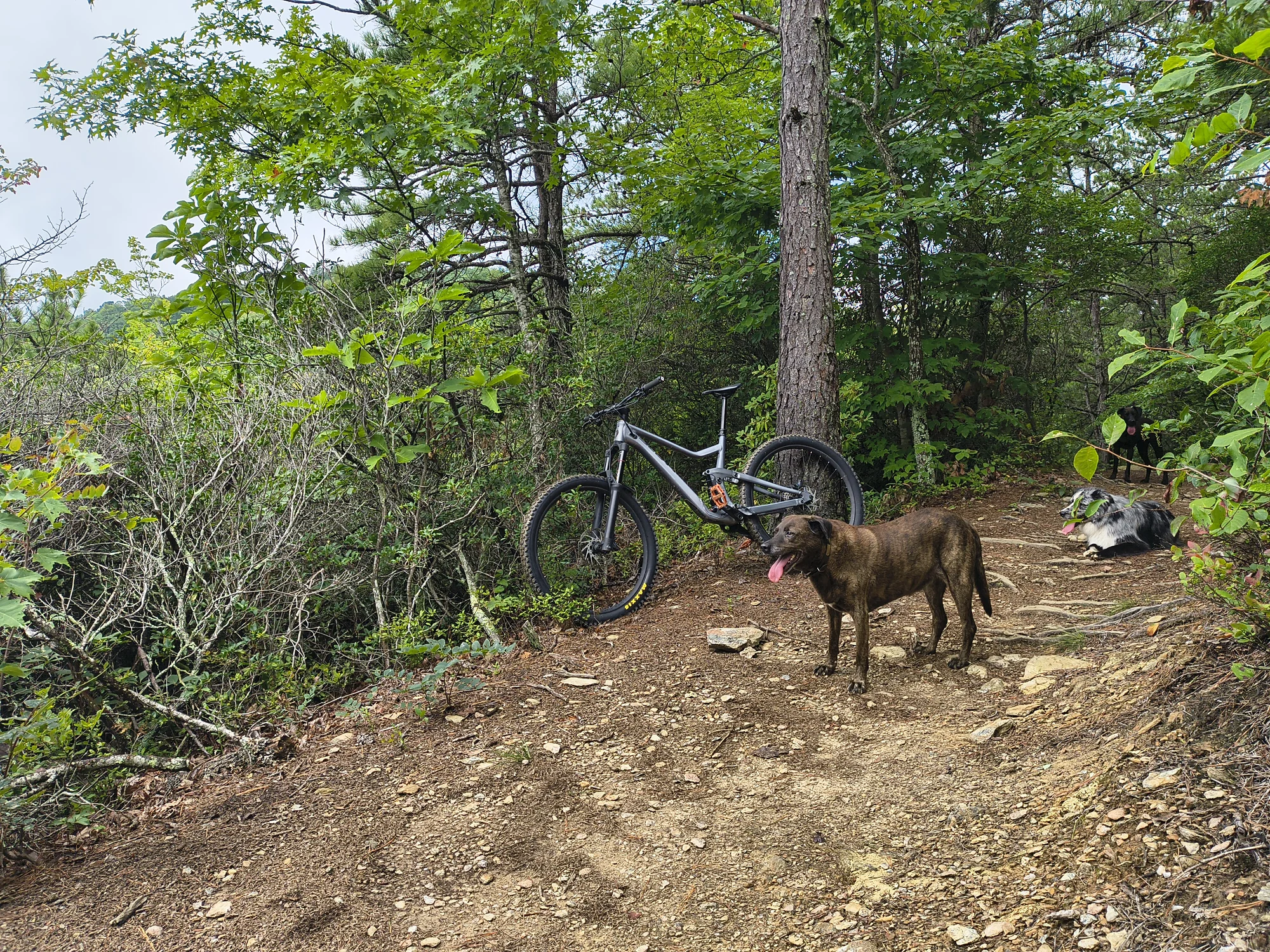 IMG_20260822_114508843_HDR[1].webp