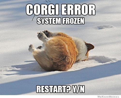 IMG_2028.png