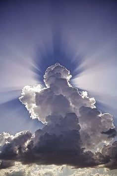 IMG_2049.jpeg