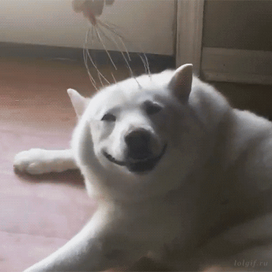 IMG_2055.gif