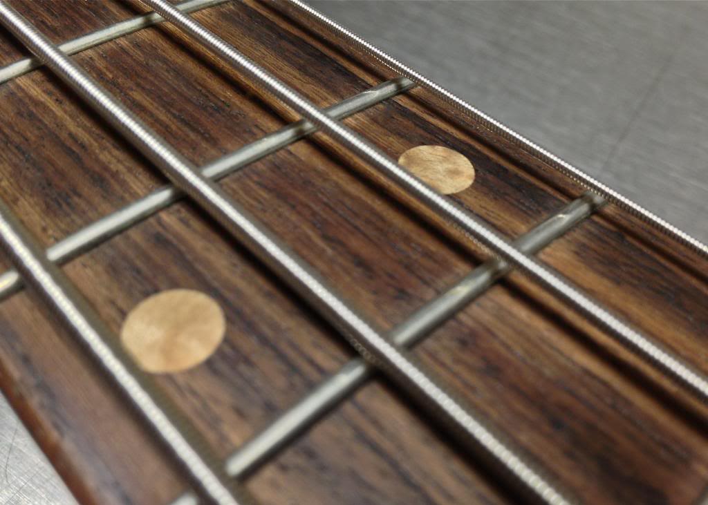 IMG_2073_zps8e6f875a.jpg