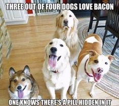 IMG_2103.jpeg