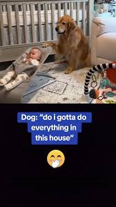 IMG_2238.jpeg