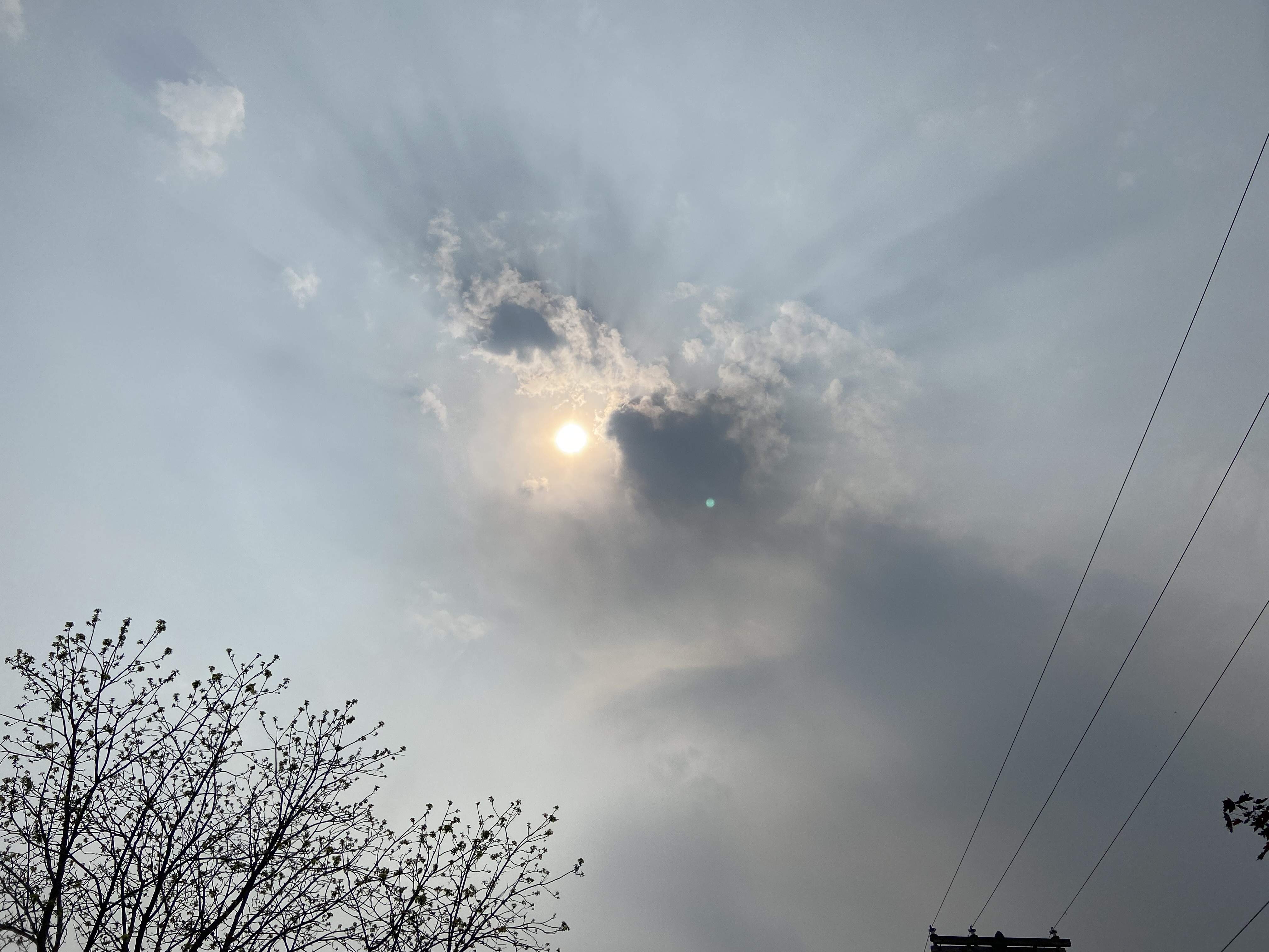 IMG_2250.jpeg